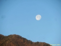 摜RiOɒތj