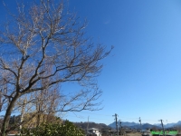 摜Ri̋j