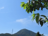 摜Pi̋j