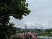 摜Ri̋j