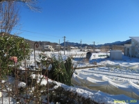 �摜�Q�i�����̐�i�F�j