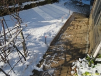 �摜�R�i��̐�j