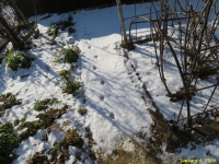 �摜�S�i�L�̑��Ձj